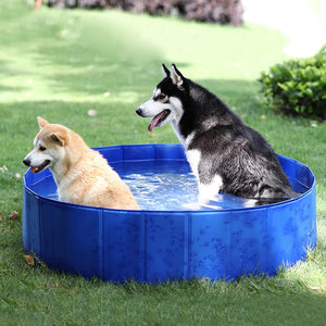 Splashy dog™