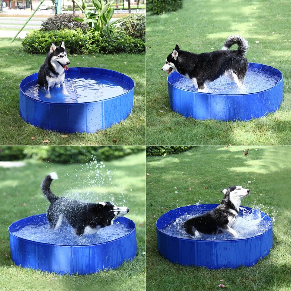 Splashy dog™
